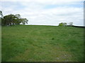 Grazing off National Cycle Route 72