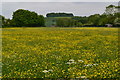 View across field towards Kingstown Copse