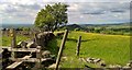 Stile on Gritstone Trail