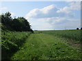 Footpath alongside the old railway