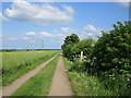 Farm track near Bingham