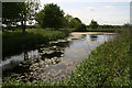 Pond by the Viking Way at Audleby