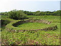 Cattle Pound near Newport