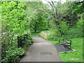 South lake path - Red House Park, Great Barr, Sandwell