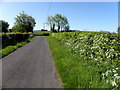 Ballyness Road, Dromore Lower