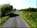 Ballyness Road, Dromore Lower