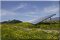 Acrefair Solar Farm