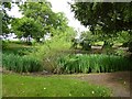 Barthomley: rectory pond