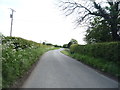 NY2157 : National Cycle Route 72, Beckbrow by JThomas