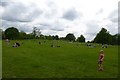 Families in Brockwell Park