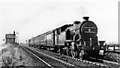 NZ3761 : Newcastle - Middlesbrough express approaching East Boldon, 1954 by Walter Dendy, deceased