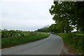 Road near Crosby Bungalow