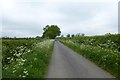 Road from Crosby Court Grange