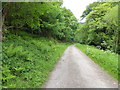 On the Wye Valley Walk between Whitebrook and Redbrook