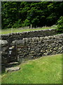 Stile on footpath from Ive House Lane at Halifax Lane, Warley