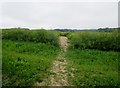 Bridleway to Wingham Well Lane