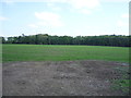 Farmland towards woodland, Moorpark