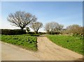 Nidderdale  Way  leaving  Birthwaite  Lane