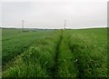 Bridleway between fields