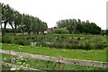 Former watercress beds at Healing