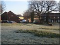 A frosty morning - Water Lane