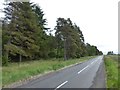 NY9990 : Long straight road beside Harwood Forest by Russel Wills