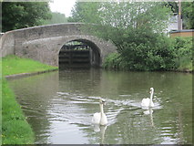 SP9609 : Here come the swans – the bridge near to Dudswell Lock by Peter S