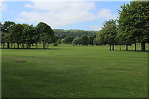 SD8531 : View across Towneley Golf Course by Chris Heaton