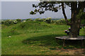 Kenfig National Nature Reserve