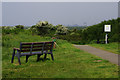 Path to Kenfig Pool