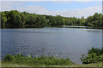 SD8632 : Rowley Lake by Chris Heaton