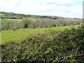 Looking northwest from Conghurst Lane