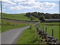 Lane, Bogside