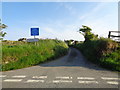 Road to Fachelich, near Whitchurch, Pembrokeshire