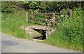  Footbridge at Dwr Cleifion (