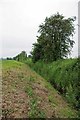 Ditch to the South of Loftman