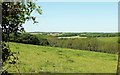 Tamar valley from near Broomhill Cross