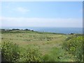 Hay Making at Lizard Point