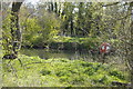 River Great Ouse, Great Denham Country Park