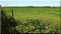 Cattle pasture near Dexbeer