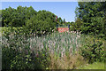 Interceptor pond on Heathcote Park Estate