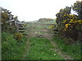 Gated farm track near Eastwood House