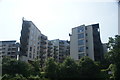 View of apartments on the River Lea from the River Lea towpath