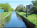 The New River north of Hoe Lane