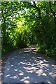 SO9173 : Woodcote Green Lane, near Dodford, Worcs by P L Chadwick