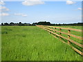 New fence near Whatton Fields Farm