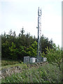 Communications mast near Eliza Farm