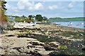 Loe Beach, near Feock, Cornwall, seen from its western end