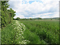 North Bucks Way east of Kimble Wick