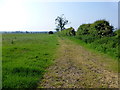 Lane along a field, Ballymacrevan